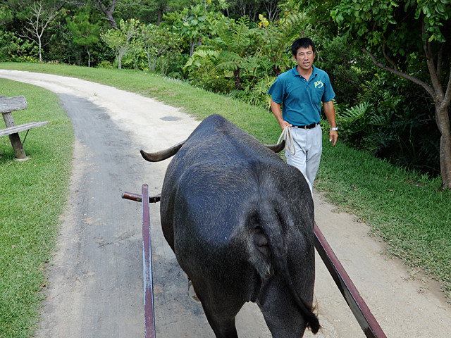 20081005_okinawa_2-1