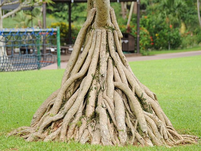 20081007_okinawa_3-10