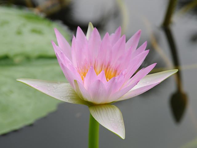 20081007_okinawa_3-11