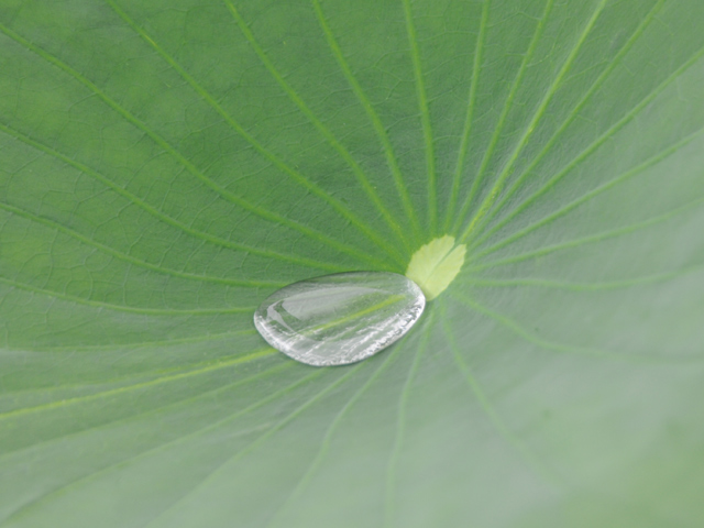 20081007_okinawa_3-12