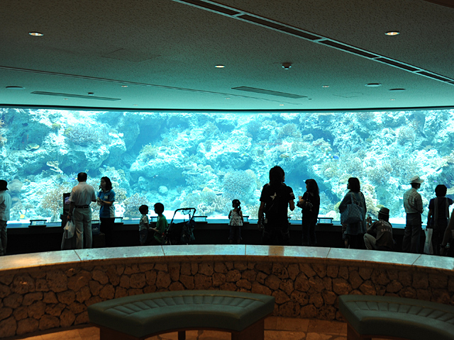 20081007_okinawa_3-2