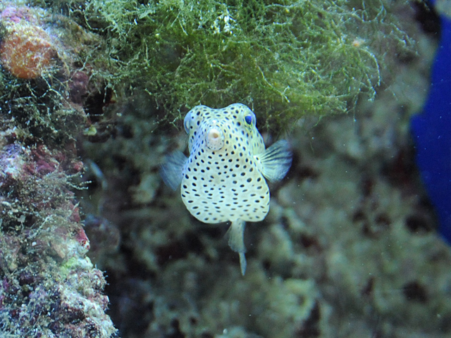 20081007_okinawa_3-4