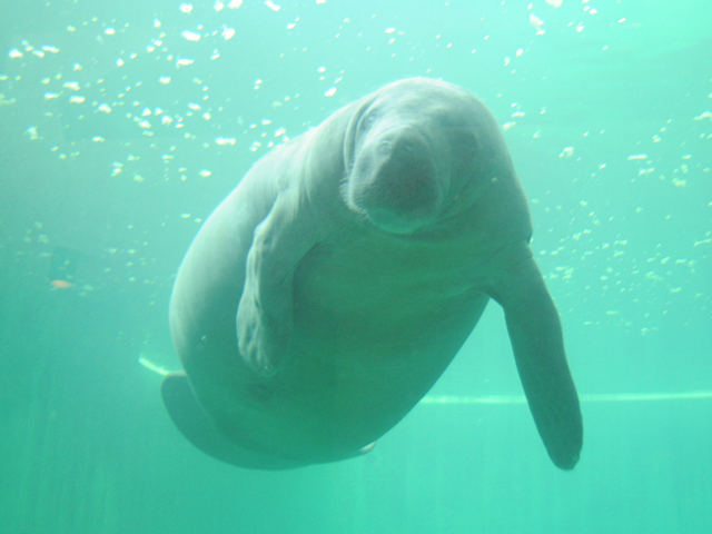 20081007_okinawa_3-6