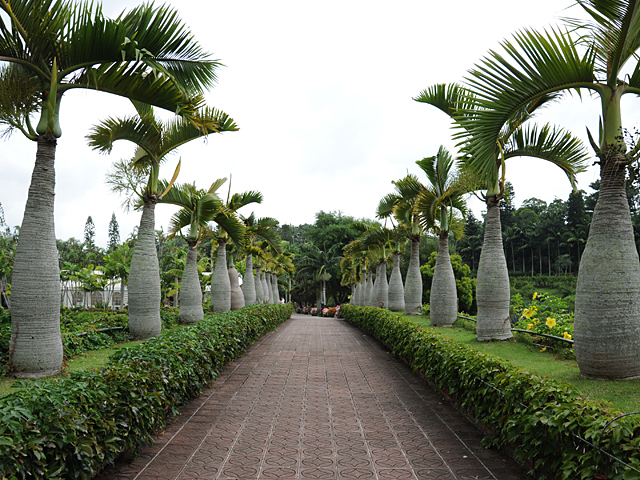 20081007_okinawa_3-8