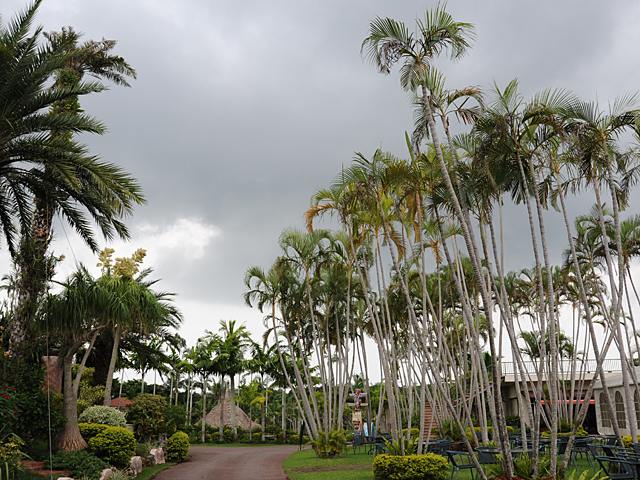 20081007_okinawa_3-9