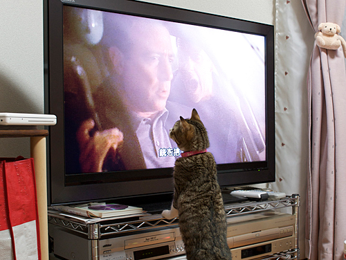 20081219_24_1 20081219_24_1