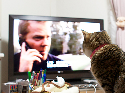 20081219_24_2 20081219_24_2