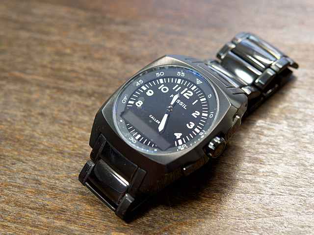 20090223_fossil 20090223_fossil