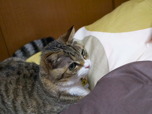 20090430_chibiko 20090430_chibiko